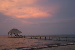 CRW_8282